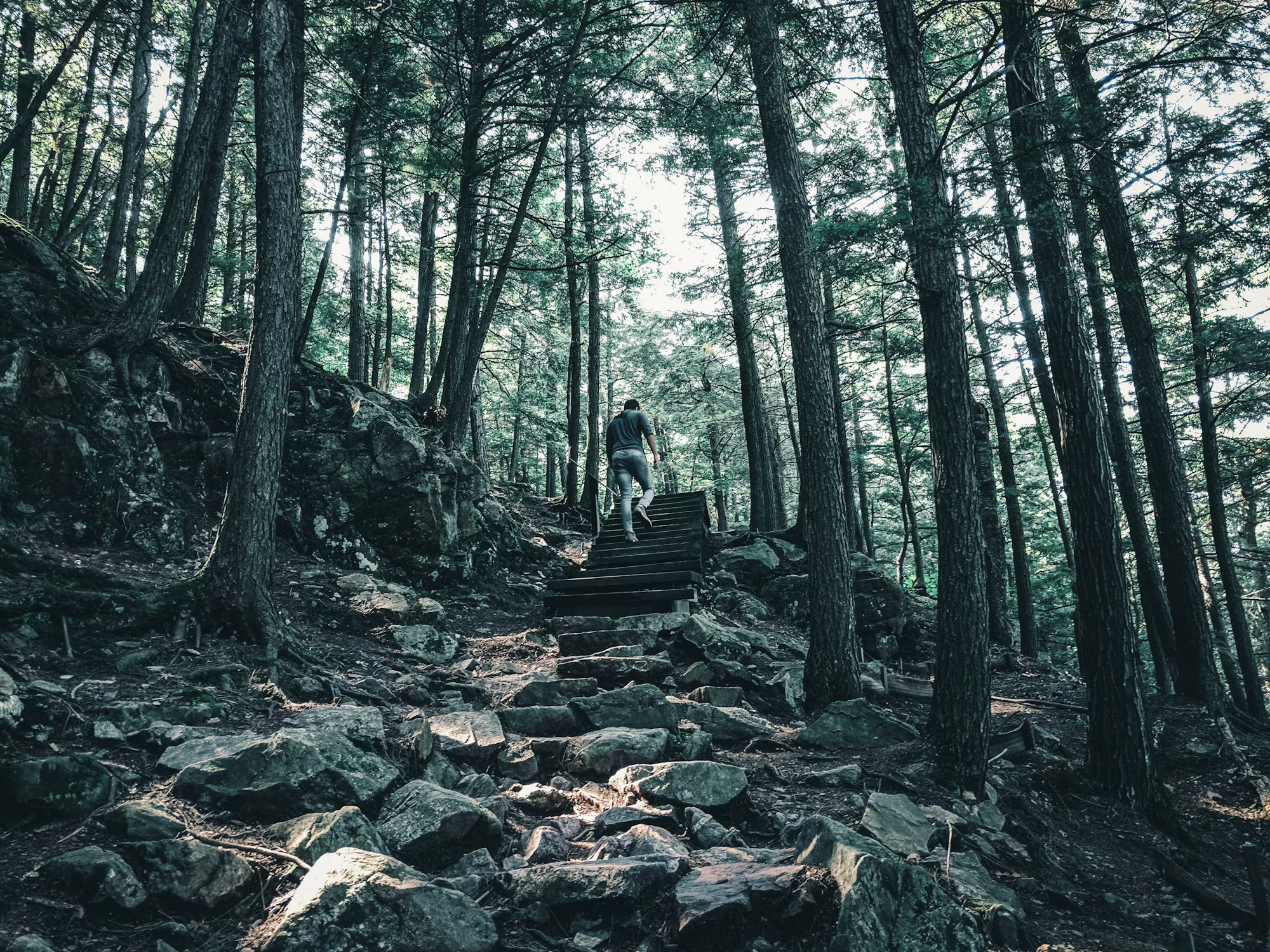 キャンプの芸術：さまざまな方法で自然を受け入れる